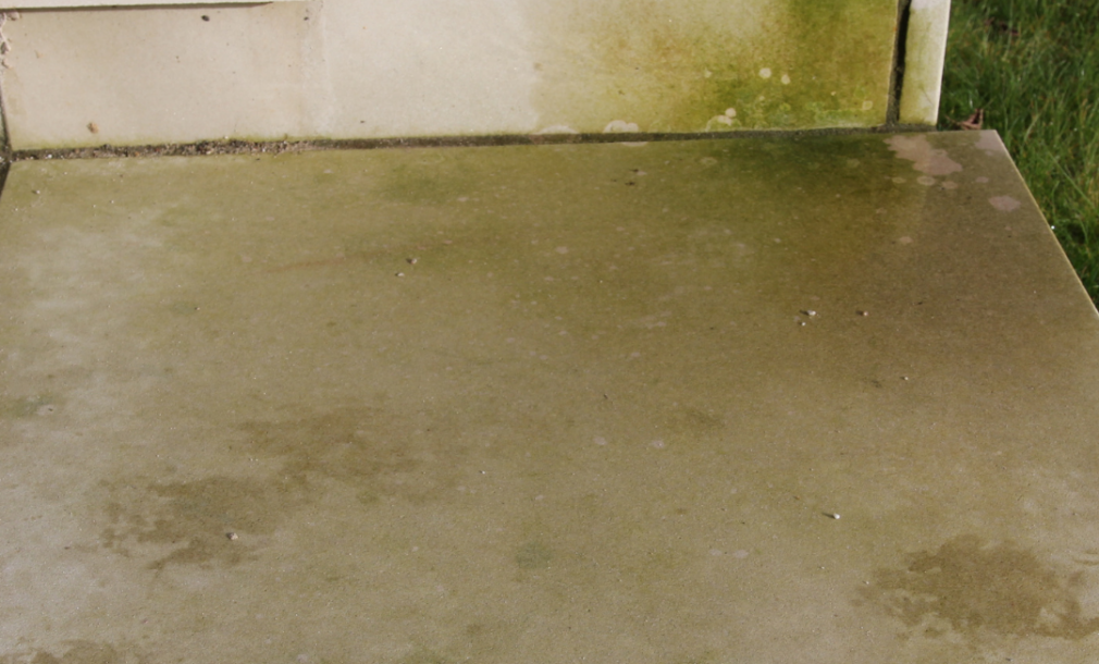 Rob Parker's Best Algae Remover & Patio Reviver